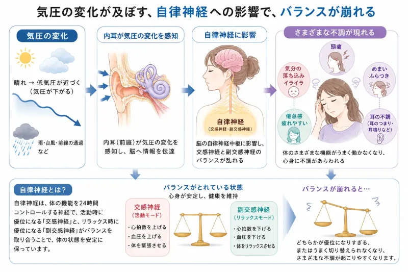 気圧の変化と自律神経への影響の図解